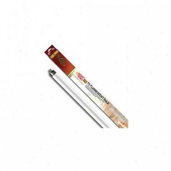 Zilla - Repto Bulb Dessert Series 24 Inch-14 Watt - 100011509