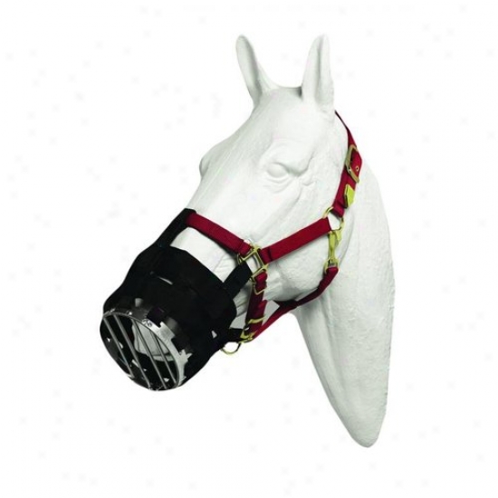 Best Friend Bf14f Cribbing Muzzle
