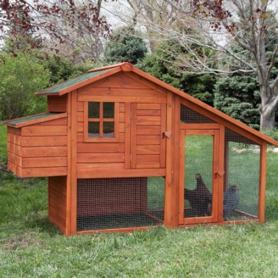 Booemr & George Deluxe Chicken Coop