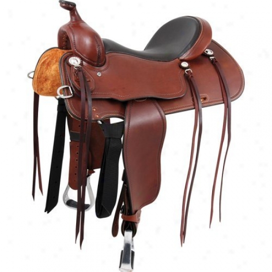 Cashel Trail Blazer Saddle