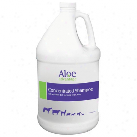 Durvet Aloe Concentrated Shampoo