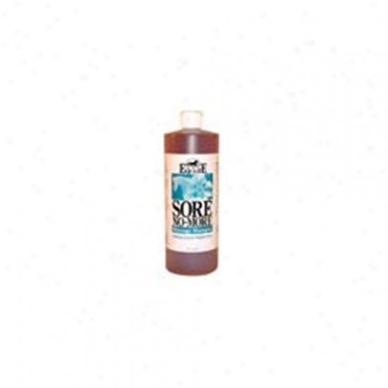Equilite Sore No More Shampoo 32 Ounces - 1snmsh032e