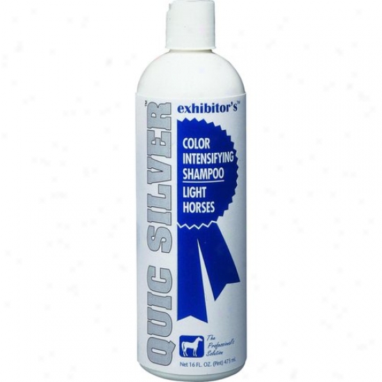 Exhibitor Laboratories Qs16 Quic Gentle Shampoo