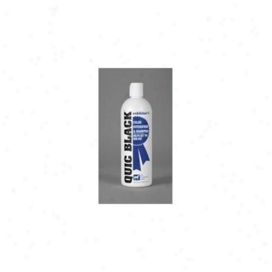 Exhibitor Labs Quic Black Shampoo 16 Ounces - Qbh16