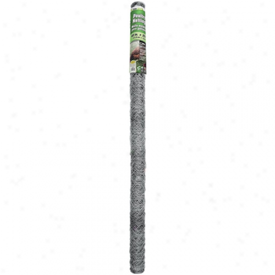 G&b Mat 308466b 48 In X 25' 2 In Mesh Hexagonal Poultry Netting