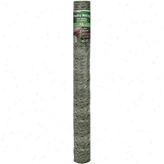 G&b Mar 308497b 60 In X 150' 2 In Mesh Galvanized Poultry Netting
