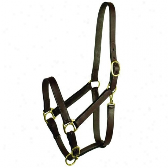 Gatsby Leather 203s/5 Stable Halter With Snap