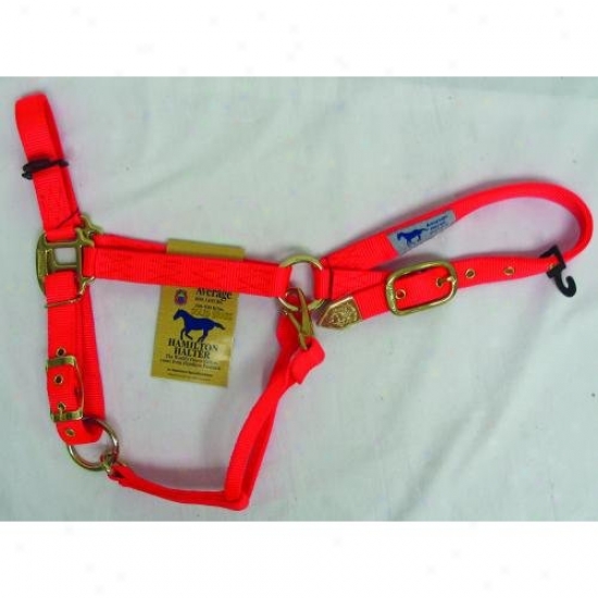 Hamilton Halter 1das Avor Adjustable Chin Halter With Snap