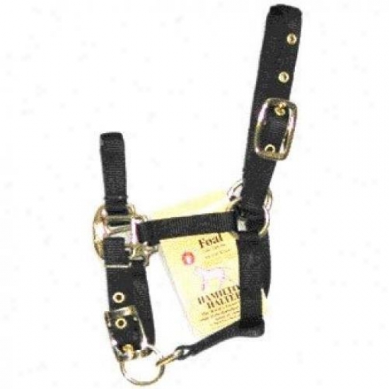 Hamilton Halter 3da Flbk Adjustable Chin Halter