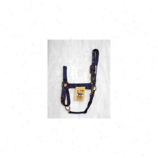Hamilton Halter Company - Adjustabble Chim Halter With Snap- Navy Average - 1das Avnv
