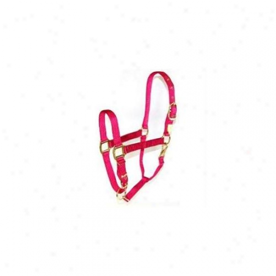 Hamilton Halter Company - Adjustable Chin Halter With Snap- Raspberry Average - 1das Avrs