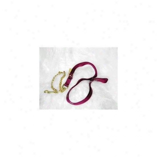 Hamilton Halter Company - Nylkn Lead With Chain & Snap- Wine 7 Feet - 17d24 Wn