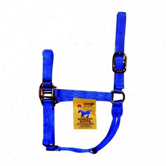 Hamilton Halter Company Quality Halter