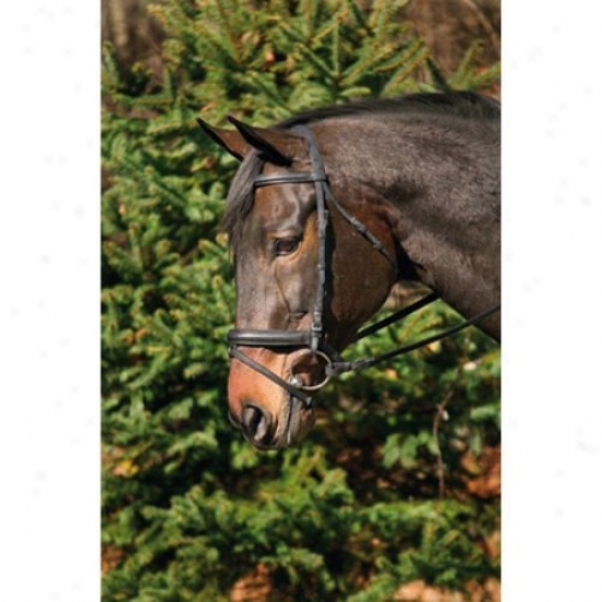 Henri De Rivel Dressage Bridle With Crank