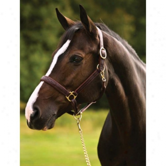 Henri De Rivel Pro Fanc Padded Rolled Throat Triple Stitched Halter