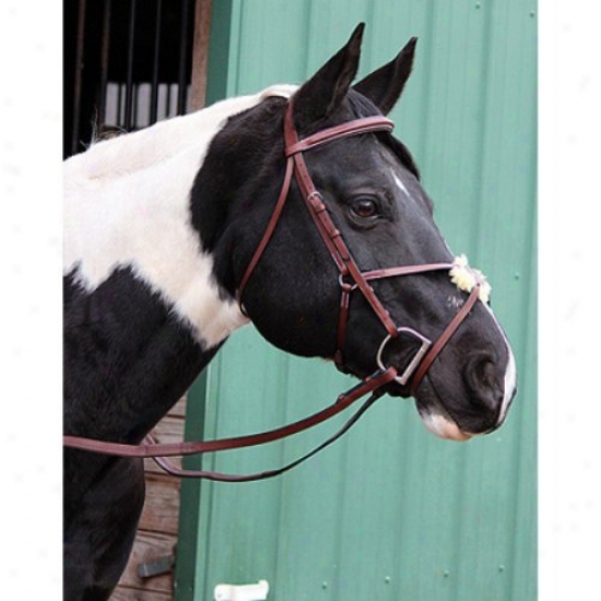 Henri De Rivel Pro Figrue 8 Bridle With Rubber Reins