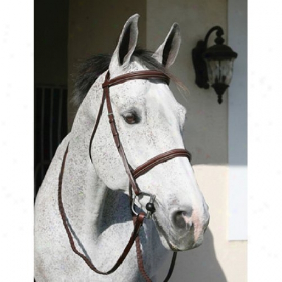 Henri De Rivel Pro Plain Raised Padded Bridle With Head Piece And Matching Reins