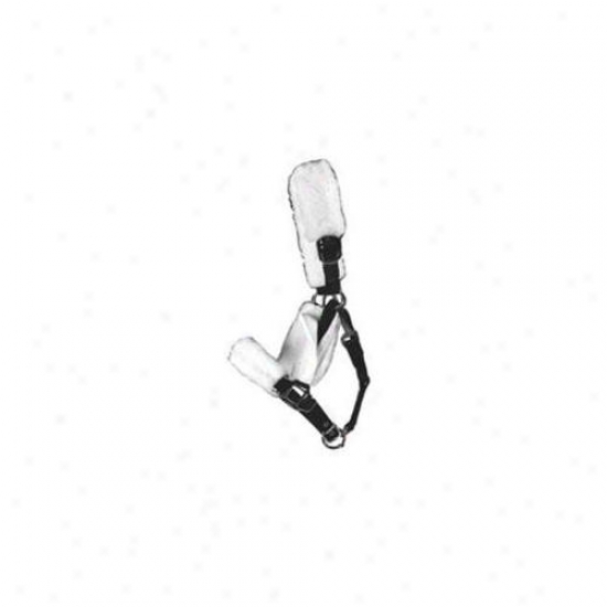 Imported Horse &supply Halter Tube Set White - 158063