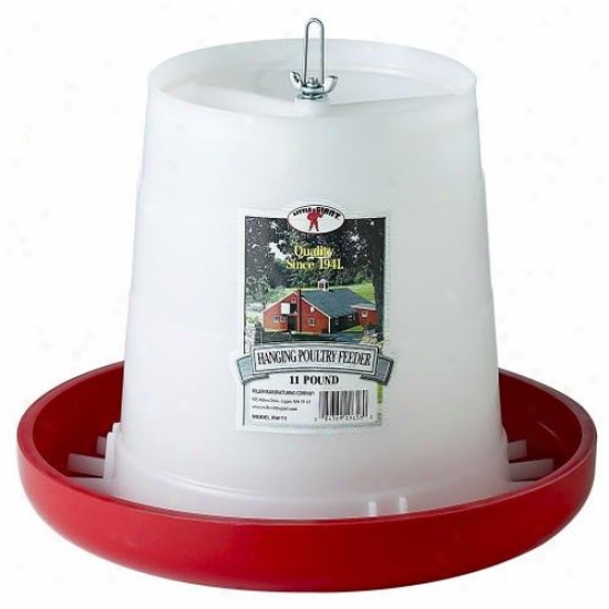Little Giant Phf11 11 Lbs Plastic Hanging Poultry Feeder