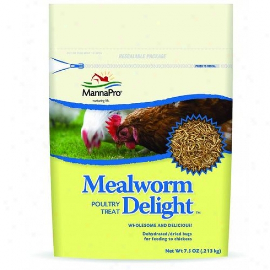 Manna Pro 00-1031-0214 Mealworm Delight Poultry Treat