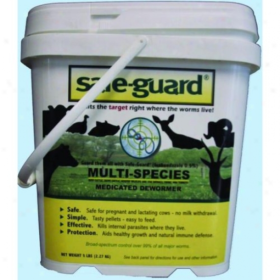 Merck Animal Health 006777/61482 Safeguard 0.50% Dewormer