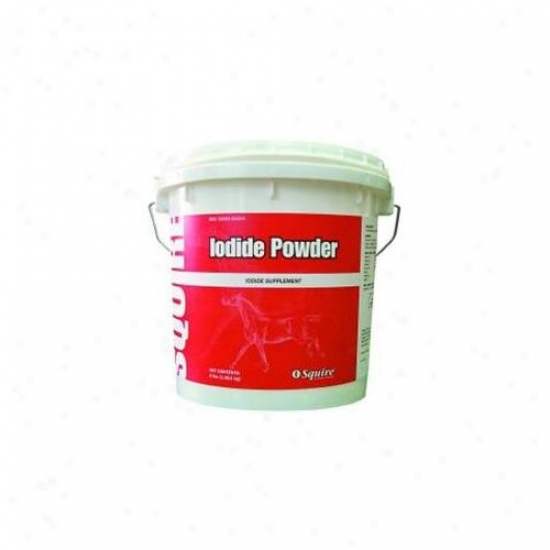 Neogen Iodide Powder 4 Pound - 79163