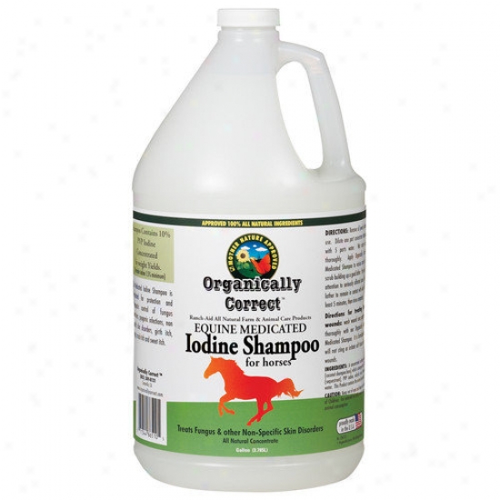 Organically Correct Iodine Medicated Shampoo In the place of Hrses