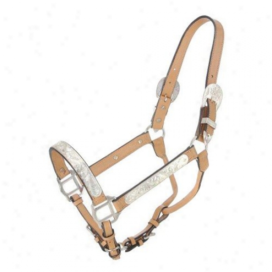 Royal Sovereign Horse Silver Bar Show Halter
