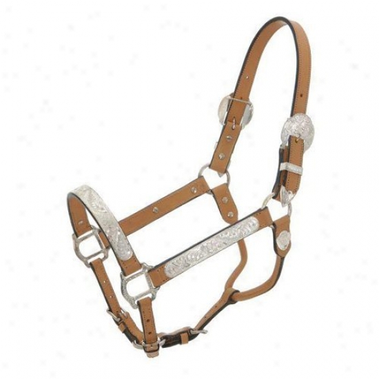 Royal King Light Oil Silver Show Halter