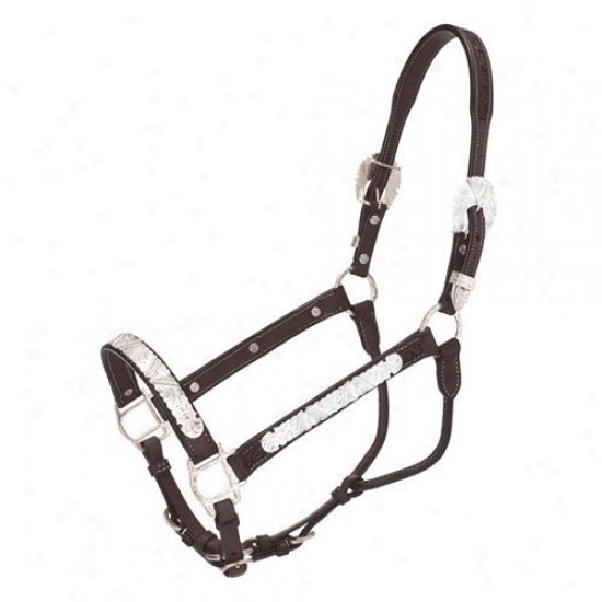 Silver Fox Premium Classic Silver V Show Halter