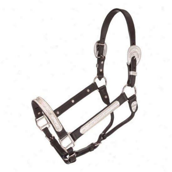 Tough-1 Berry Edge And Feather Silver Show Halter
