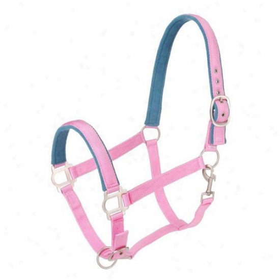 Tough-1 Nylon Padded Halter In the opinion of Satin Hardware