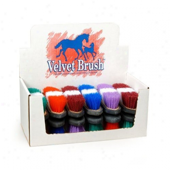 Tough-1 Rubber Back Two Tpne Brush - 12 Pk.