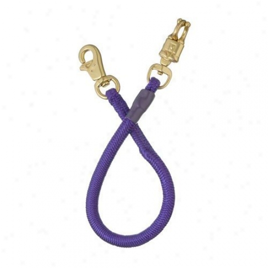 Tough-1 Safety Shock Trailer Tie