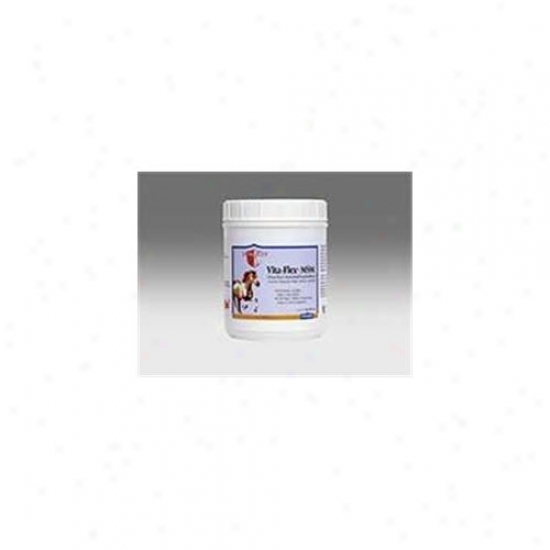 Vita-flex Nutrition Vita Flex Msm 2 Pounds - 3000095