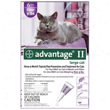 Advantage 12pk Cat Purple 10 Lbs And Over