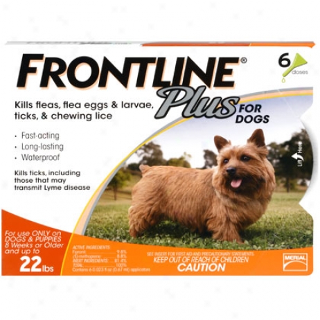 Frontline Plus 12pk Small Dogs Up To 22 Lbs