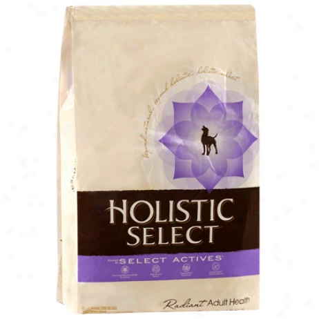 Holistic Select2