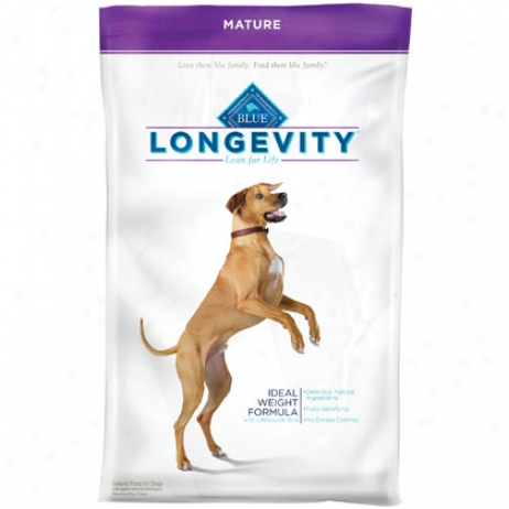 Longevity Mature Uninteresting Dog