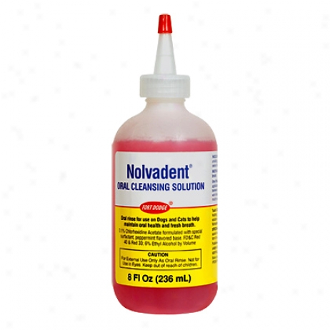 Nolvadent Oral Cleansing Solution 8oz Btl