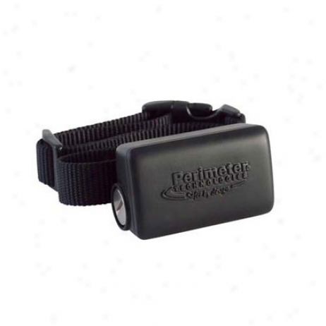 Perimeter Wire Free Dog Fence