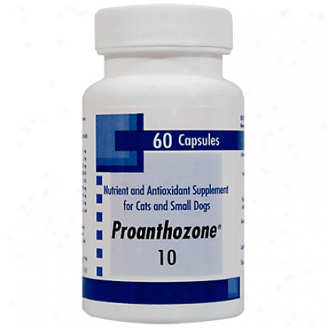 Proanthozone 10mg 60ct For Small Dogs & Cats