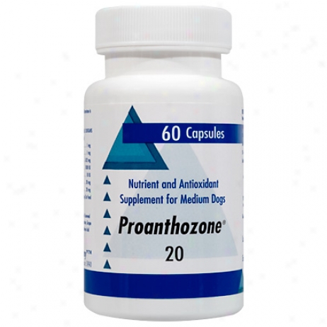 Proanthozone Antioxidant 20mg 60ct For Medium Dogs