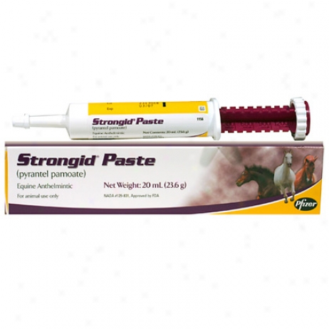 Strongid (pyrantel Pamoate) Paste Equine Dewormer 1 Spoken Syringe
