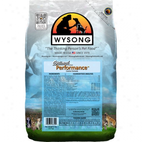 Wyslng Optimal Performance