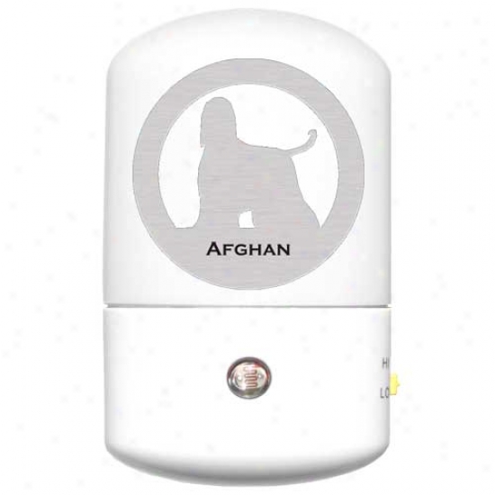 Afghan Hound Led Night Light