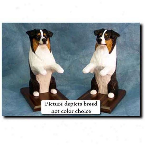 Australian Shepherd Bookends Blue Merle