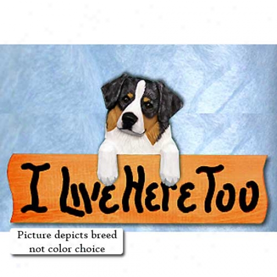 Australian Shepherd I Live Here Too Mapke Finish Sign Red Merle