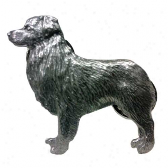 Australian Swain Pewter Pin