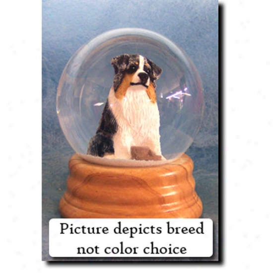 Australian Shepherd (red Merle) Musical Snow Globe